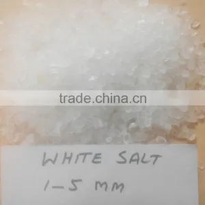 EDIBLE SALT thumbnail-3