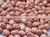 INDIAN BOLD PEANUTS thumbnail-1