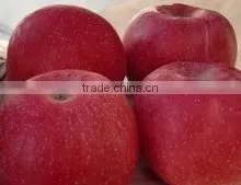 FRESH APPLES FRUITS thumbnail-1