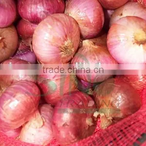 2015 Crop Lowest Price Fresh Red Onion thumbnail-3