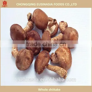 Frozen Fresh and Dry Smooth Cap Shiitake thumbnail-1