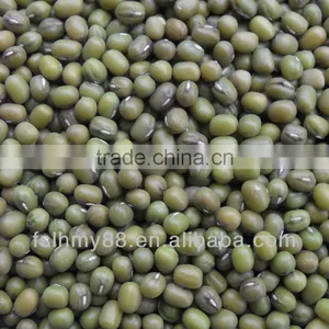 Northeast China Green Mung Bean thumbnail-1