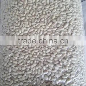 New Crop Blanched Peanut Kernel thumbnail-1