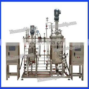 Stainless Steel Fermenter Bioreactor for Lab thumbnail-3