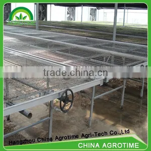 High Qualified Seeded Benching System in Greenhouse thumbnail-3