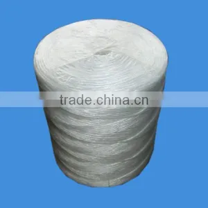2.4mm Twisted (polyethylene) pe Rope Twine With Low Price thumbnail-4