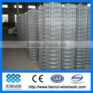 Electro Welding/welded Wire Meshes Buy Galvanized Favorably thumbnail-1