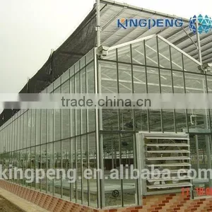 Multi Span Glass Greenhouse for Tomato Production thumbnail-3