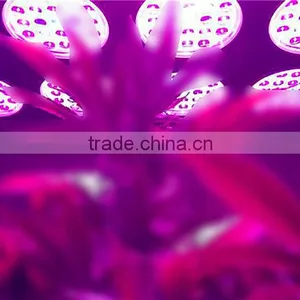 2017 Hot Sales High Efficient 3W LED Diodes 300W 400W 600W Led Grow Light thumbnail-6