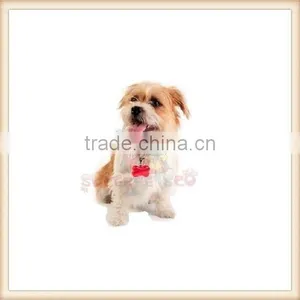 2015 New Pet Dog Bone Pendant LED Flashing Safe Night Light Lamp Pendant thumbnail-1