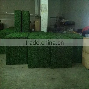 China Wholesale Plastic Fake Boxwood Hedge and Garden Fence thumbnail-1