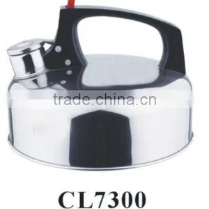 Stainless Steel Kettle thumbnail-1