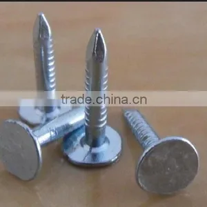 Galvanized Clout Nails /roofing Nails Flat Head thumbnail-3