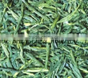Sencha Tea thumbnail-1