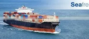 LCL and FCL Sea Freight/ Ocean Freight Logistics Door to Door Service From Vietnam thumbnail-1