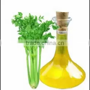 Celery Oil thumbnail-3