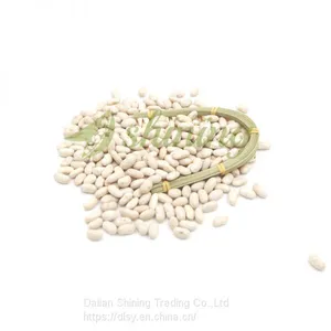 Spanish White Kidney Beans thumbnail-3