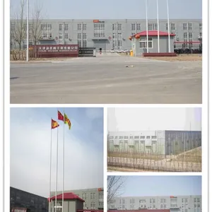 Tianjin Wellmade Scaffold Co., Ltd. company overview - view 3 thumbnail