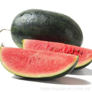 Watermelon F1 Hybrid Sweet Melon Seeds Fruit Seeds No.89 thumbnail-2