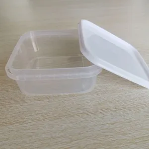 Disposable PP Plastic Packing Box thumbnail-1