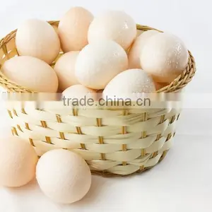 Bargain Price Ffor Egg Promotion thumbnail-1