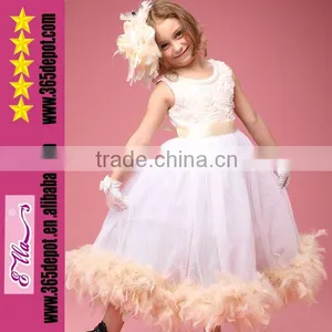 Wholesale Fashion 2014 Girls Party Dress Rosette Feather Dresses Baby Dress thumbnail-1
