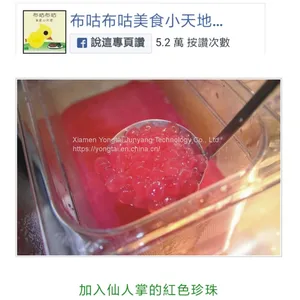 Mine AUTOMATIC BOBA MAKING MACHINE Tapioka-Perlen-Maschine thumbnail-5