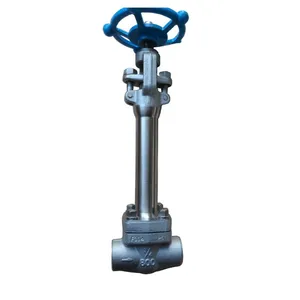 A105 Forged Steel Globe Valve DN15 DN50 800LB Socket Weld WCB Globe Valve thumbnail-6