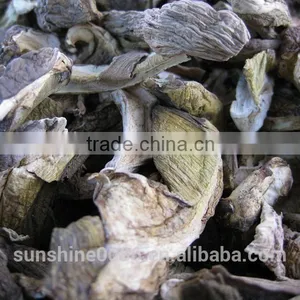 Esculent Wild Dried Slice Boletus Mushroom thumbnail-3