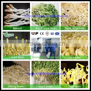 Black Bean Sprout Machine/peanut/ thumbnail-2