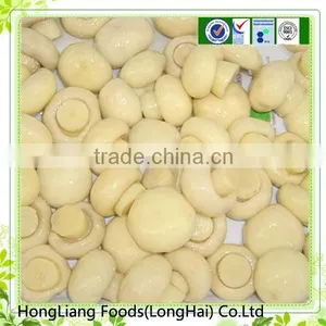 Agaricus Fatia Cogumelo in Conserva in Chemical to Brasil thumbnail-1