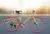 Fixed Gear Bike Bicycle Road Bike Fixed Cycle thumbnail-3