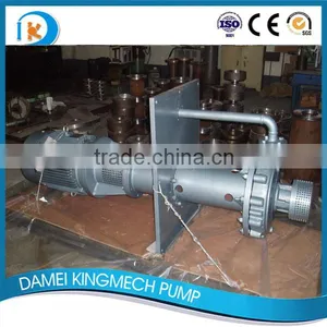 China New Design Popular Vertical Sump API610 Pump With Suspended Cantilever VS5 Type thumbnail-1