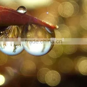 Christmas Brilliant Bokeh Kit for 62mm or Smaller thumbnail-4