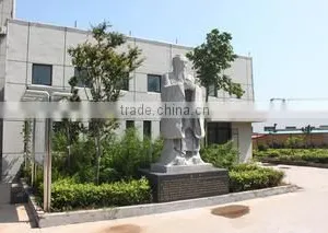 Shandong Huamin Steel Ball Joint-Stock Co., Ltd. company overview - view 2 thumbnail