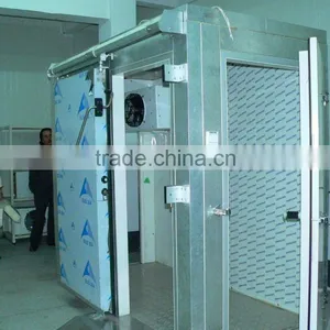 Stucco Embossed Aluminum Cold Room Hinged Door thumbnail-2
