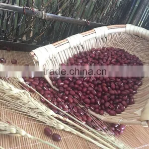 Chinese New Crop Red Adzuki Bean thumbnail-2