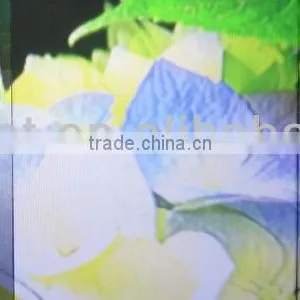 High Resolution Film Projection for Advertising, Glass Window Film,use for Advertising thumbnail-2