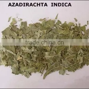 Neem Oil thumbnail-1