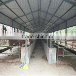 LTX006 Steel Structure Cow Shed thumbnail-1