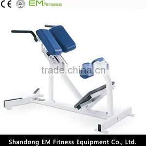 Life Fitness Equipment Roman Chair Back Extension thumbnail-1