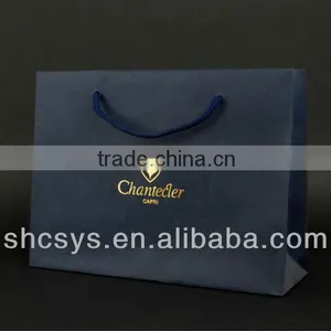 AEP 2013 New Style Boutique Paper Bag for Customized Brand thumbnail-1