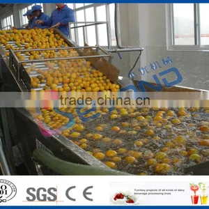 Orange Production Line thumbnail-4