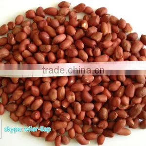 2013 , 2012 Crop Red Skin Peanut 50/60 thumbnail-1