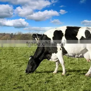 Breast Milking Machine thumbnail-1