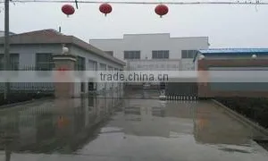 Shandong Chenfei Paper Industry Co., Ltd. company overview - view 1 thumbnail