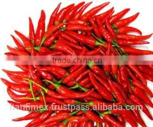 HACCP/HALAL/KOSHER/FDA RED DRY CHILLI thumbnail-2