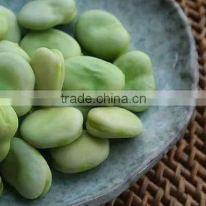 Nutrition Vicia Faba/fava Beans Extract Powder for Sell thumbnail-1