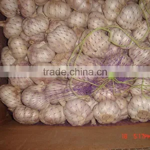 Pure White Garlic Packed in 10kgs/ctn thumbnail-4