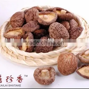 Natural Dry Shiitake Mushroom Bulk Dried Oyster Mushroom thumbnail-1